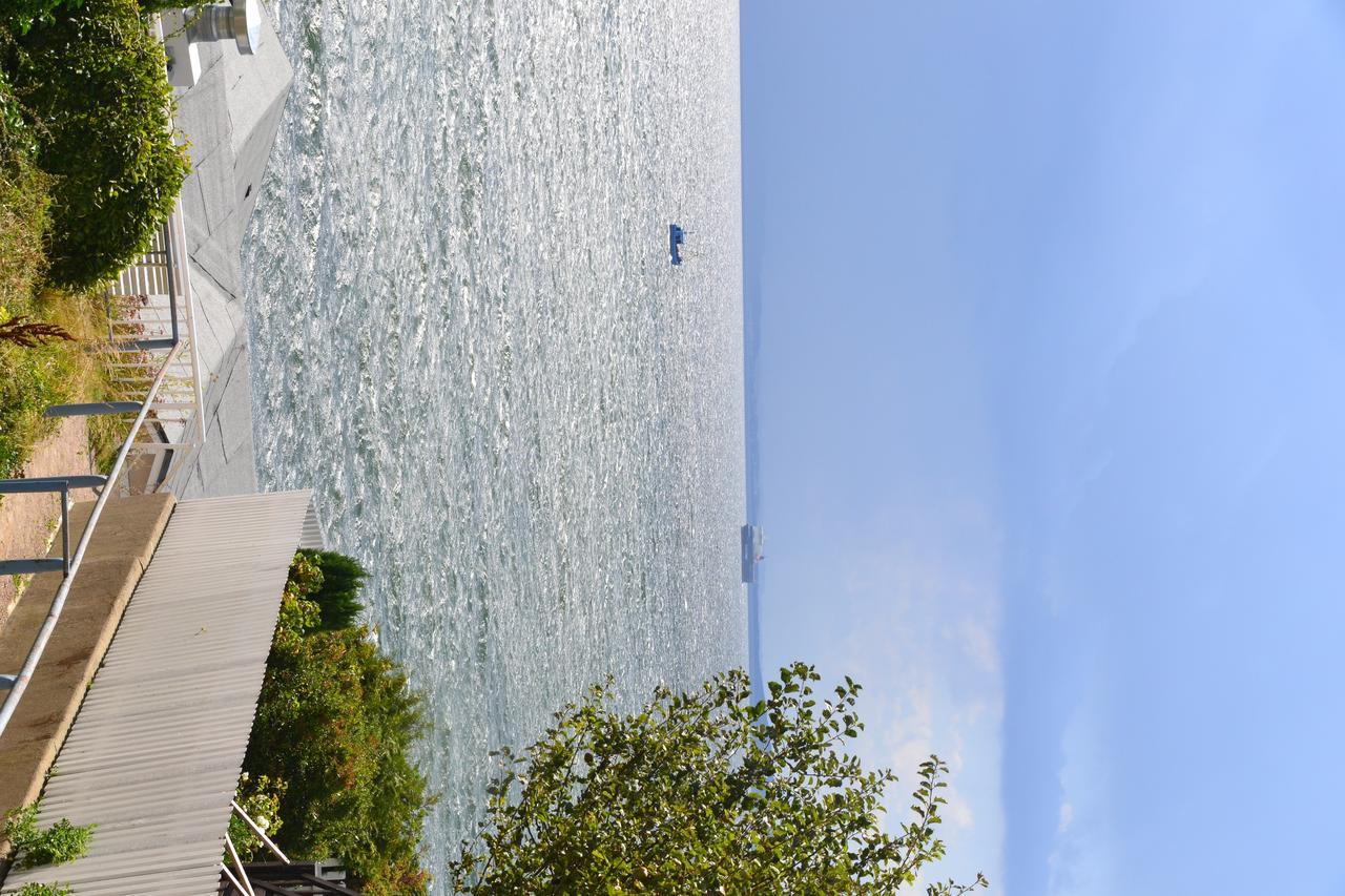 Meerforelle 207 - Villa Seeblick Sassnitz Exterior foto
